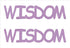 Custom-Buzz Word - WISDOM Pink