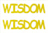 Custom-Buzz Word - WISDOM Yellow Paper