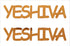 Custom-Buzz Word - YESHIVA Orange