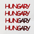 HUNGARY, Player, Ball Green, Red, White