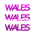 Custom-Fetti Country - WALES Fuchsia