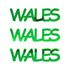 Custom-Fetti Country - WALES Green