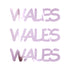 Custom-Fetti Country - WALES Pink