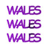 Custom-Fetti Country - WALES Purple