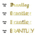 Custom-Fetti Boy - BRANTLEY Gold