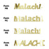 Custom-Fetti Boy - MALACHI Gold