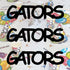 Custom-Fetti Team - GATORS Black