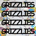 Custom-Fetti Team - GRIZZLIES Black