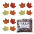 Confetti Maple Leaf 7/8" New Leaves Mix 